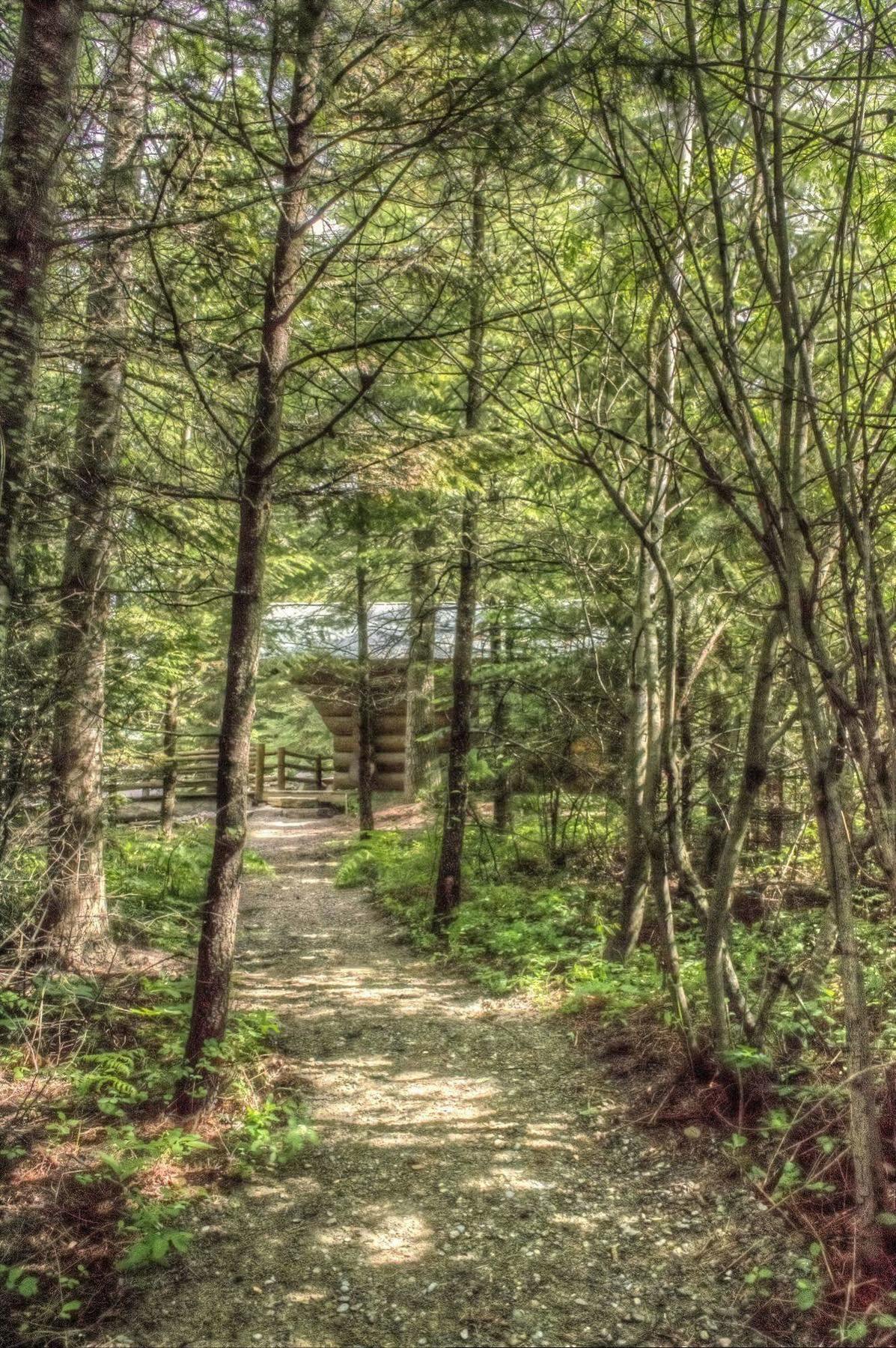 Log Inn Bonners Ferry Dış mekan fotoğraf